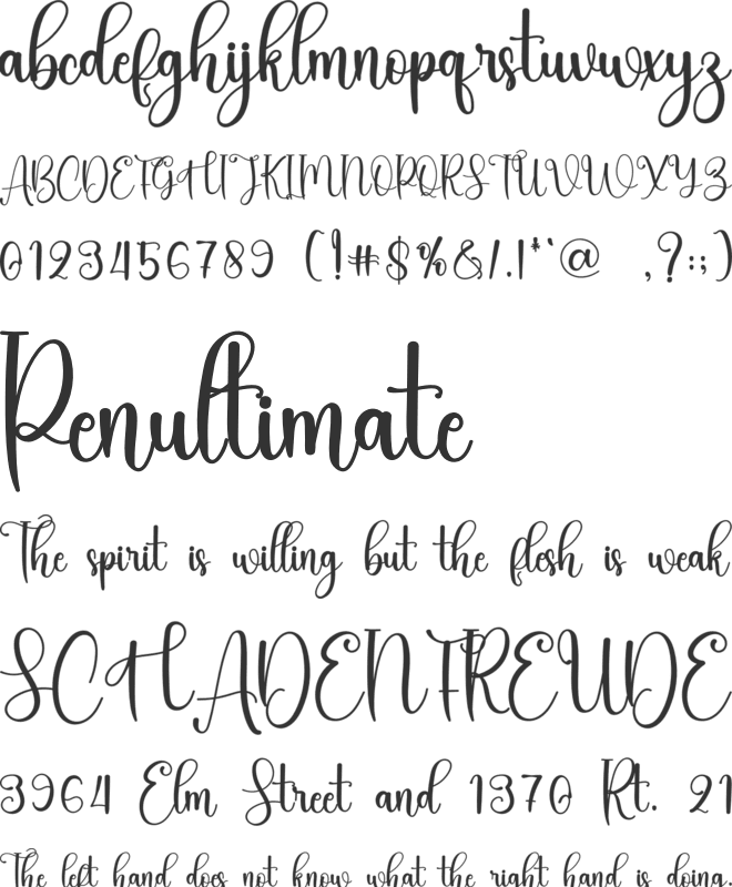 Dormitory font preview