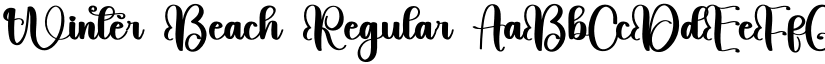 Winter Beach Regular font