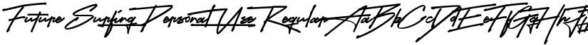 Future Surfing (Personal Use) Regular font