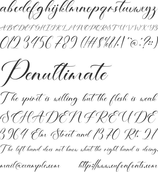 NCL Velvet Monkey font preview