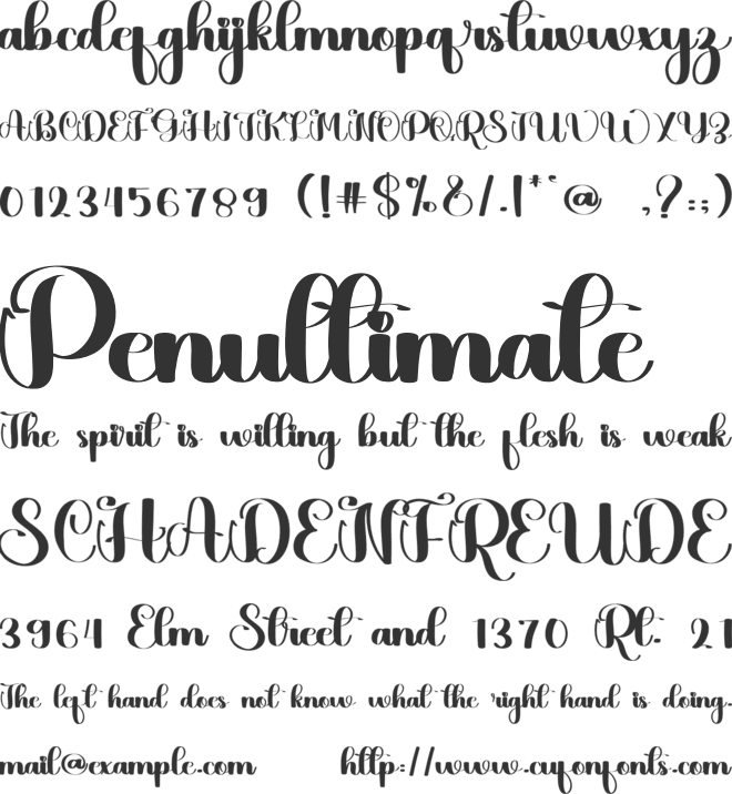 Wake font preview