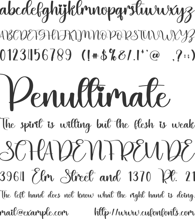 Little Beach font preview
