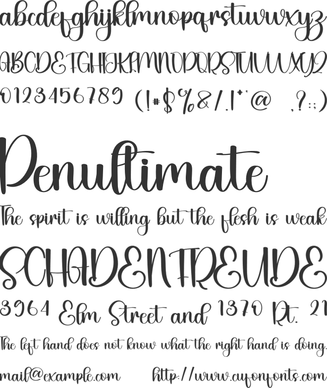 Night Vacation font preview