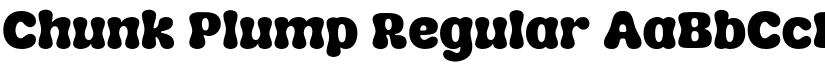 Chunk Plump Regular font