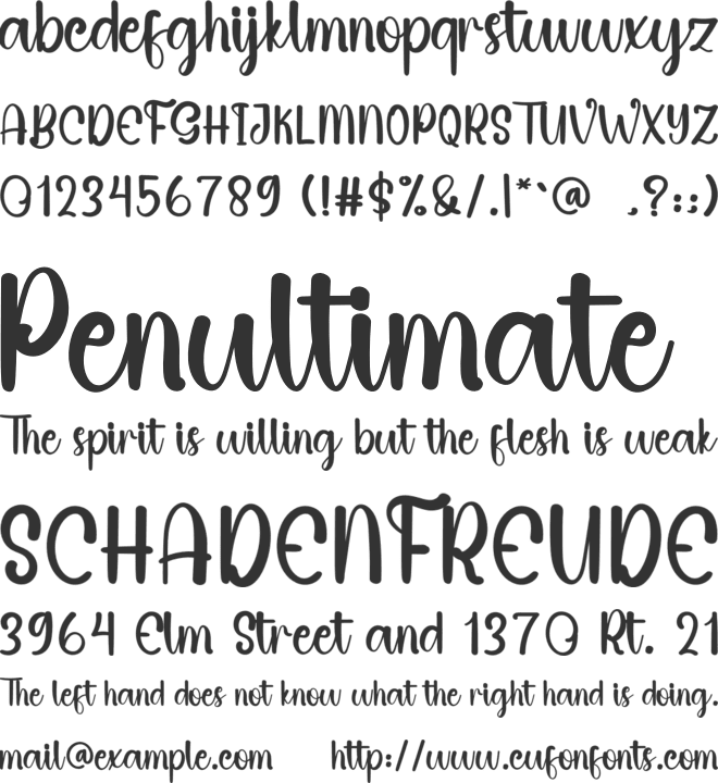 Simple Family font preview