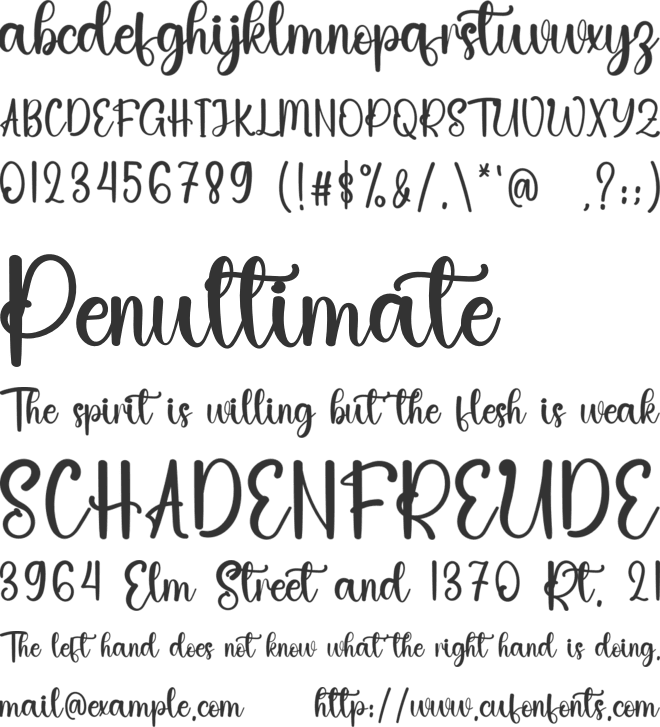 Beautiful Princess font preview