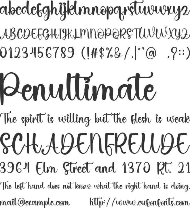 Special Christmas font preview