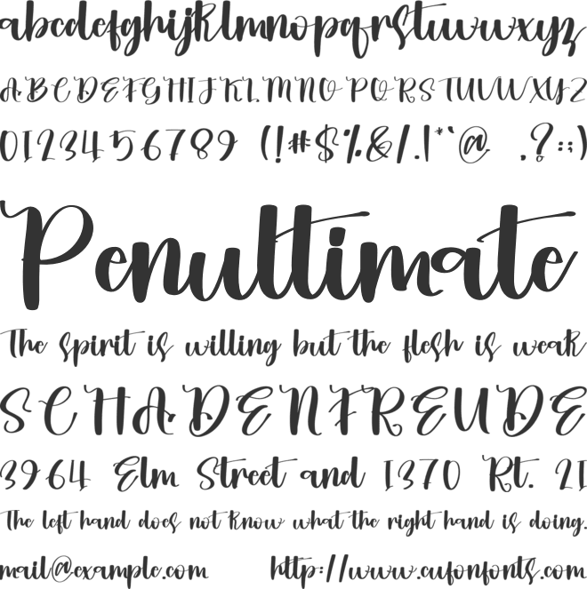 Statistics font preview