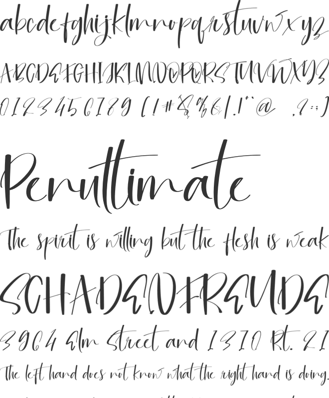Signatine font preview