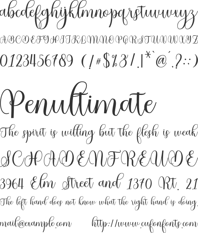Thermal Script font preview