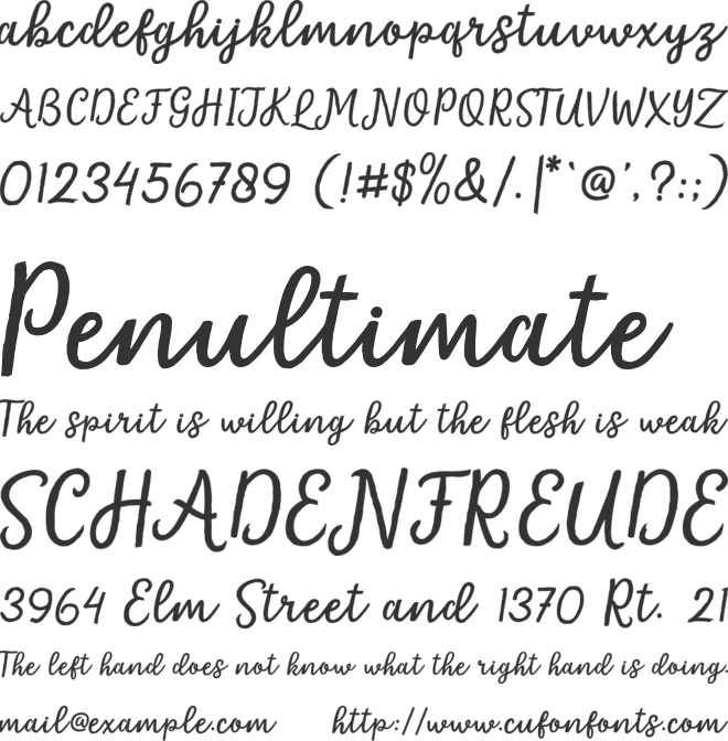 Flounder Script font preview