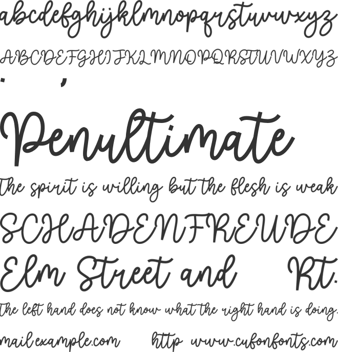 Nichale font preview