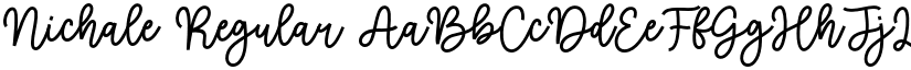 Nichale font download