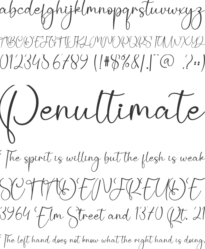 Christmas Pageant font preview