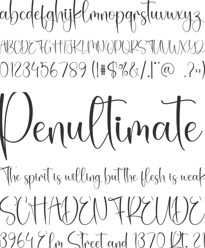 Wintersock font preview