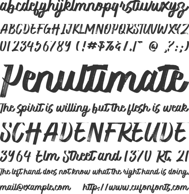 Branding Allure font preview