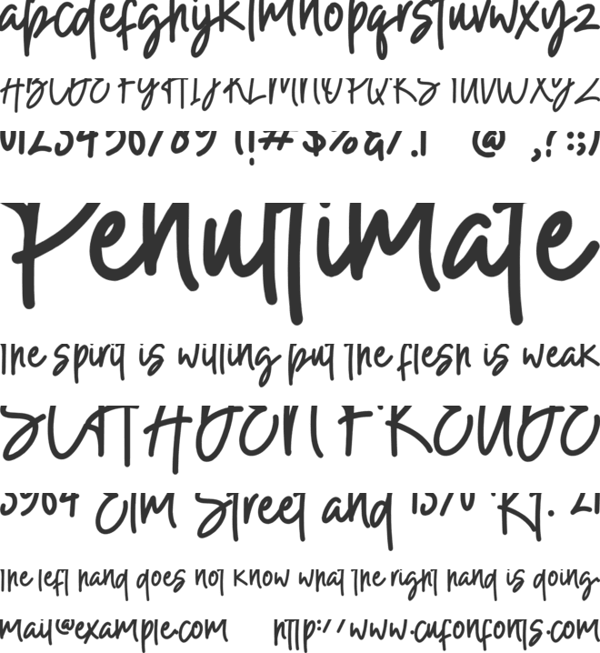 Rubellin font preview