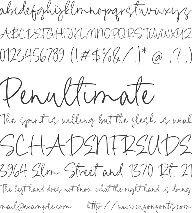 Kamila Paradise font preview