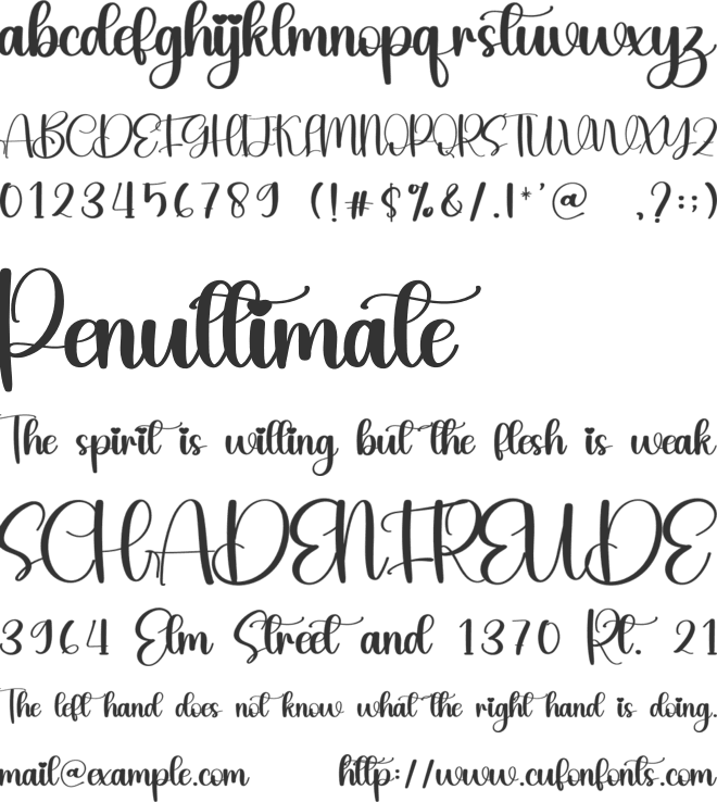 Back font preview