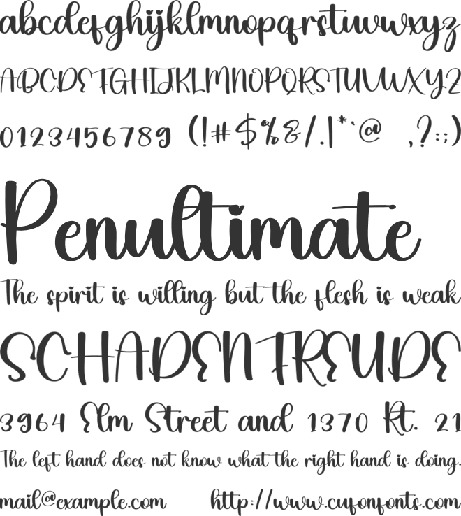 Rain Night font preview