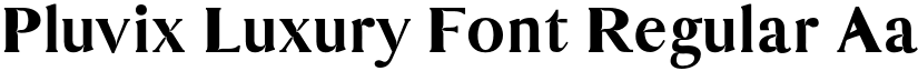 Pluvix Luxury Font Regular font