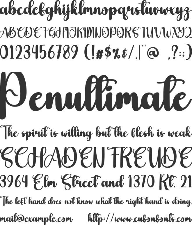 Bighter font preview