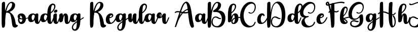 Roading Regular font