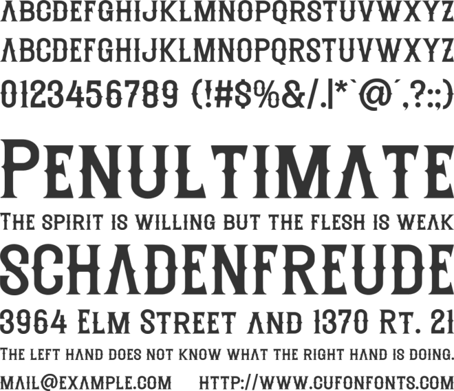 Riders Riots - Personal Use font preview