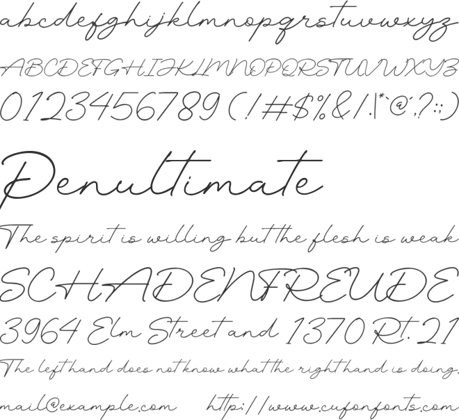 Autthentic font preview