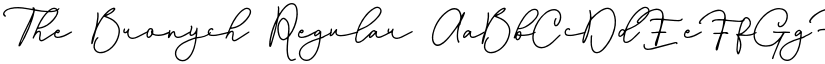 The Bronych Regular font