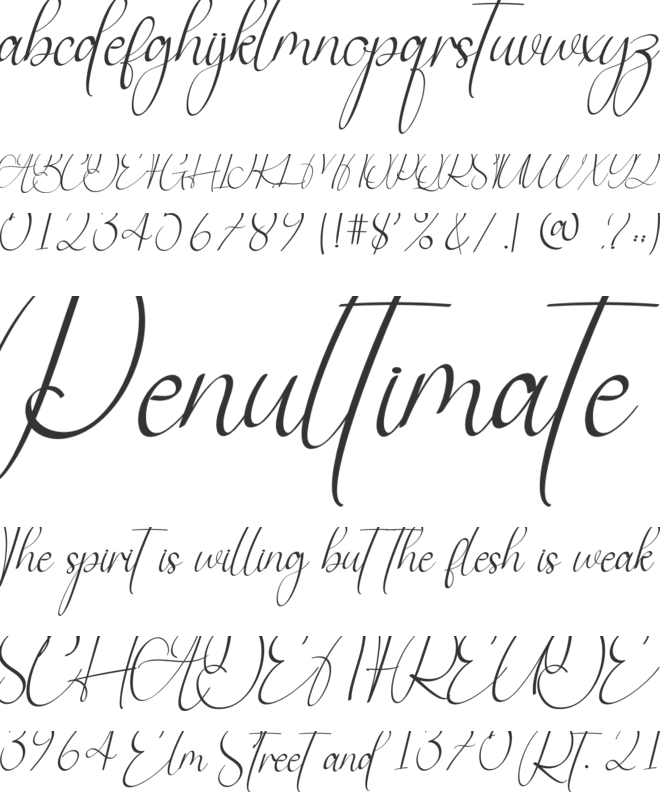Ainsley Signature font preview