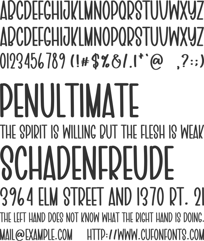 CHRISTMAS  DESIGNER font preview