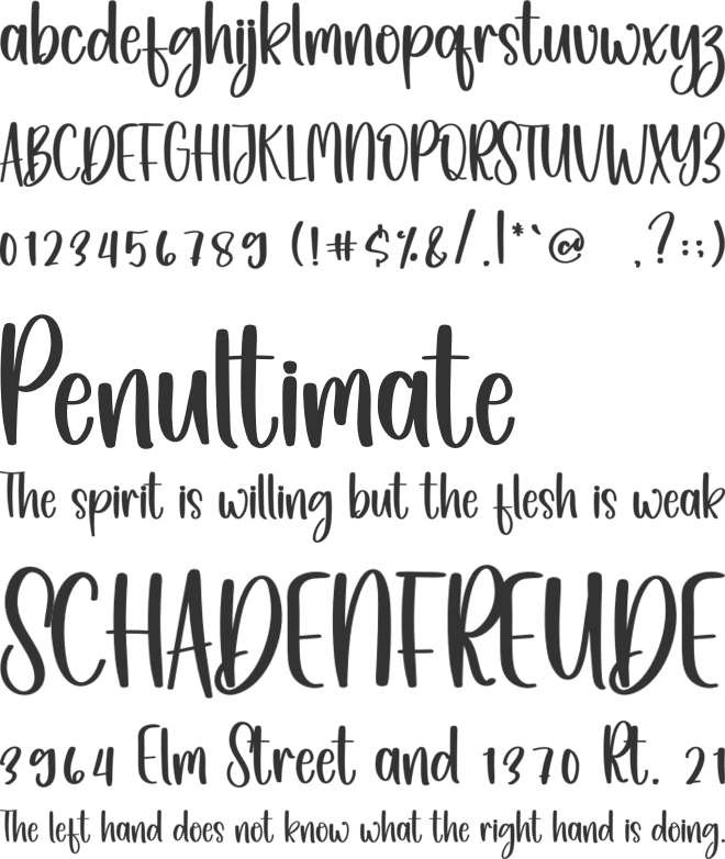 Day Of Christmas font preview