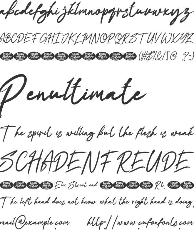 Kensington Setalise font preview