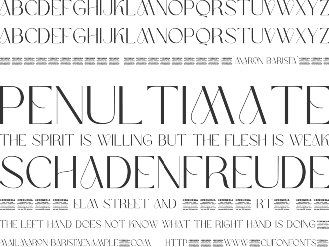 Maron Barista Personal Use Only font preview