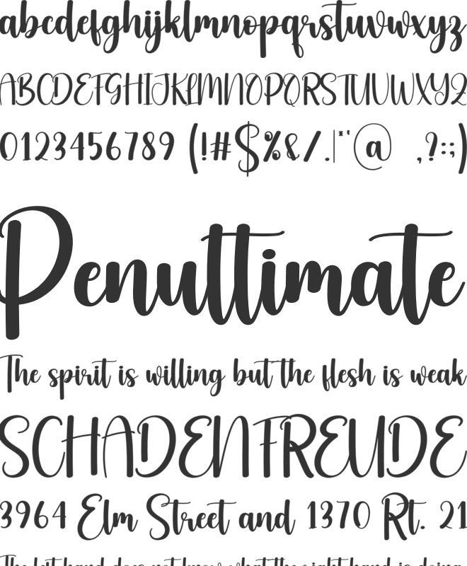 Delivery font preview