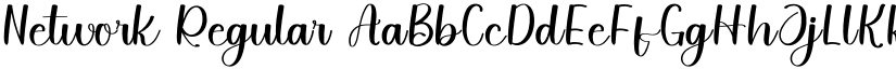 Network Regular font