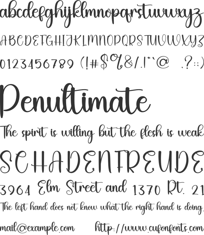 Testimony font preview