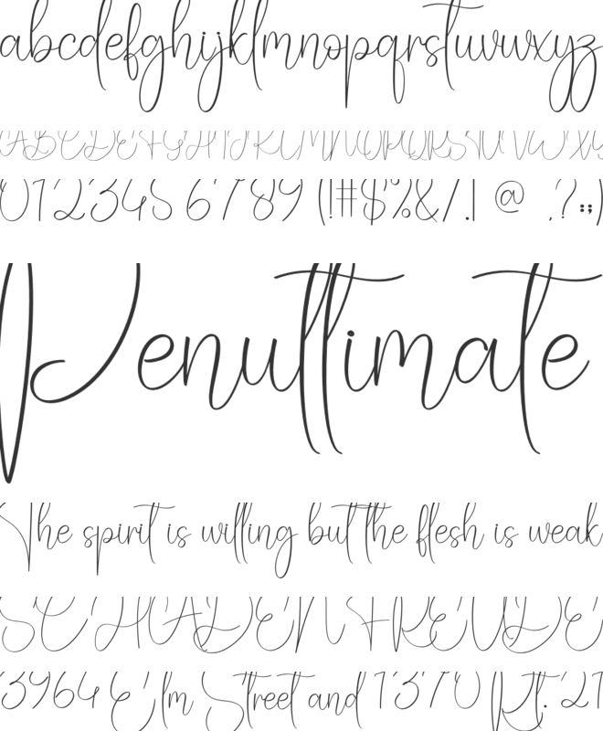 Recording font preview