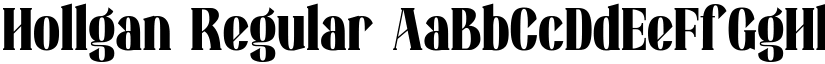 Hollgan Regular font