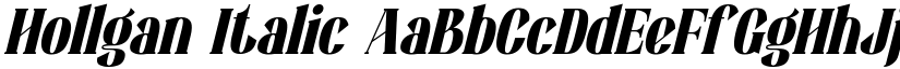 Hollgan Italic font