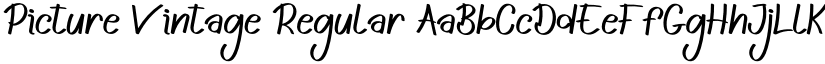 Picture Vintage Regular font
