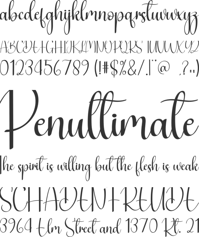 Payment font preview