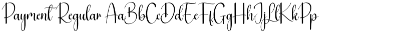 Payment Regular font