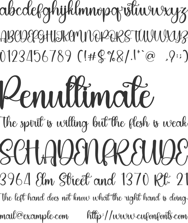Beachlife font preview