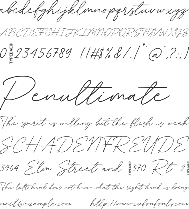 Belitany Signature font preview