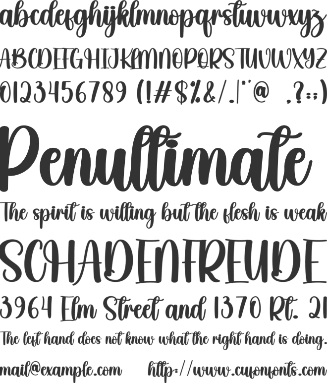 Shining font preview