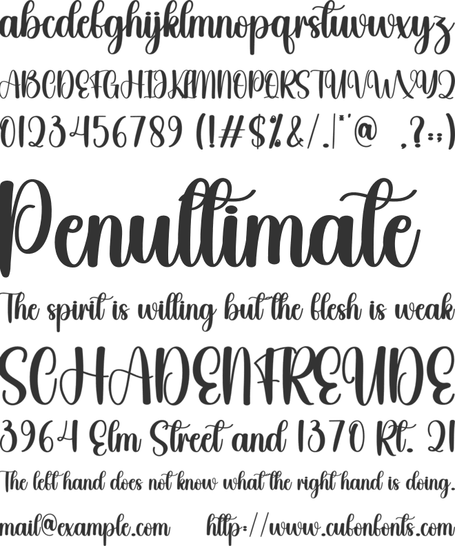 Clarity font preview