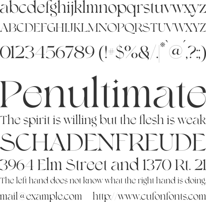 Shavina Elegance font preview