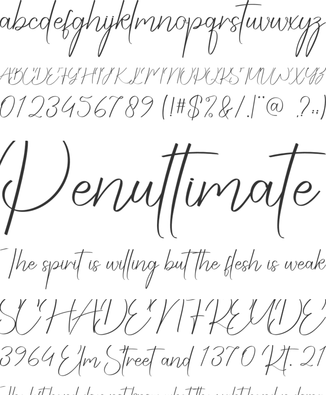 Summer Season font preview